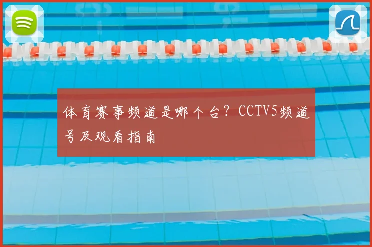 体育赛事频道是哪个台？CCTV5频道号及观看指南