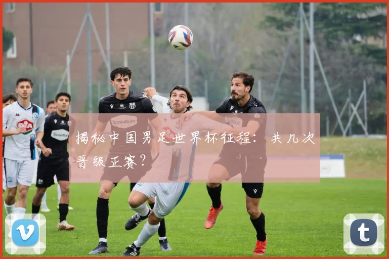 揭秘中国男足世界杯征程：共几次晋级正赛？