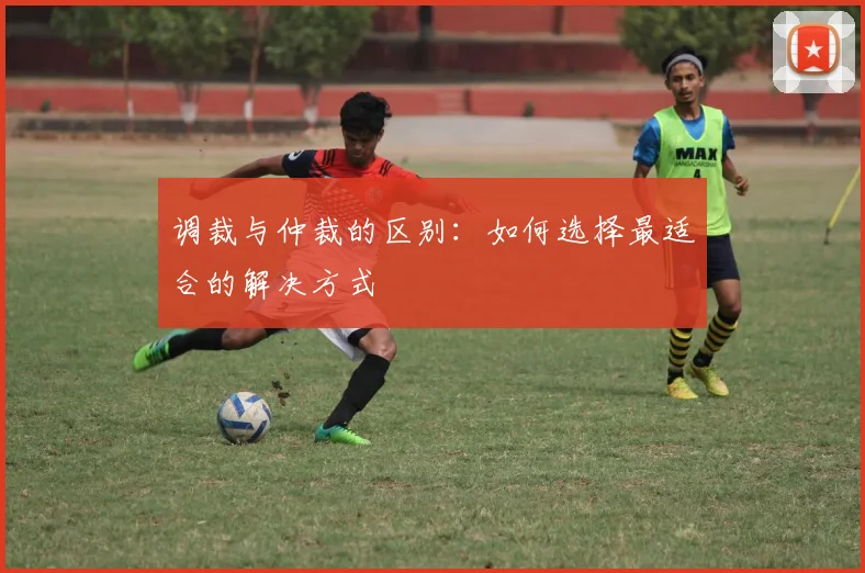 调裁与仲裁的区别：如何选择最适合的解决方式