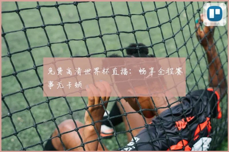 免费高清世界杯直播：畅享全程赛事无卡顿