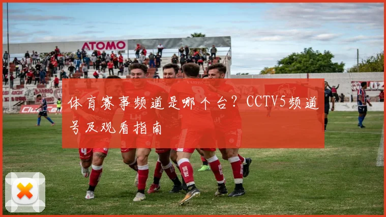 体育赛事频道是哪个台?CCTV5频道号及观看指南